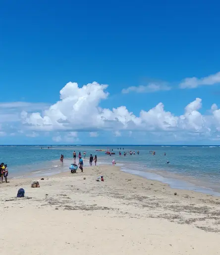 O que fazer em Santa Cruz Cabrália: banco de areia na maré baixa formando o chamado Caminho de Moisés, na Praia de Coroa Vermelha, em Santa Cruz Cabrália, com turistas caminhando até o mar.