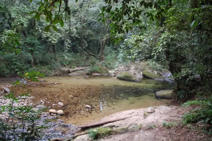 Vista da Cachoeira Água Branca em São Sebastião, cercada da Mata Atlântica.