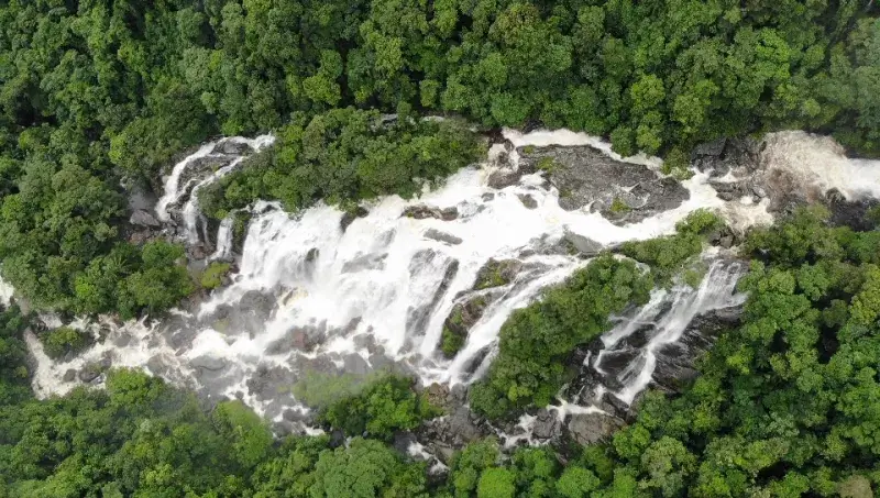 Vista da Cachoeira do Elefante em Bertioga, mostrando uma queda d'água que desliza sobre grandes rochas escuras, cercada por uma vegetação densa e verde da Mata Atlântica.