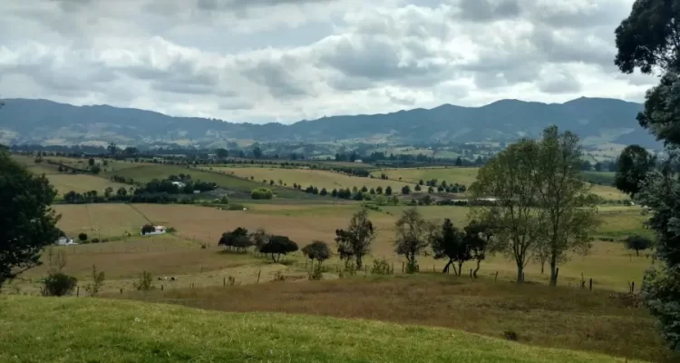 Paisagem com morros e campos verdes do Sul de Minas Gerais, mostrando a beleza natural e a tranquilidade da região da serra.