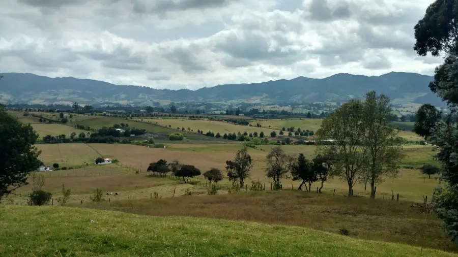 Paisagem com morros e campos verdes do Sul de Minas Gerais, mostrando a beleza natural e a tranquilidade da região da serra.