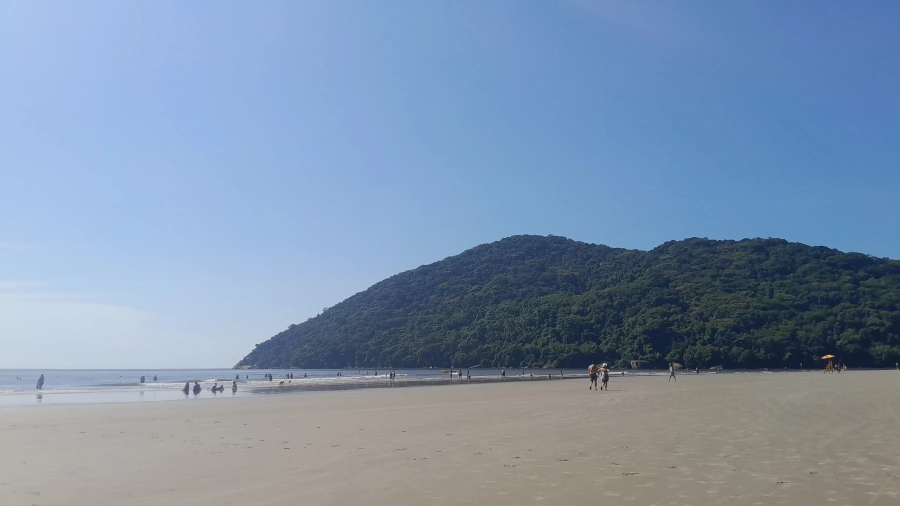 Ampla vista da Praia da Enseada em Bertioga em um dia ensolarado, com uma longa faixa de areia clara, mar calmo azul claro e um grande morro verde coberto de árvores ao fundo.