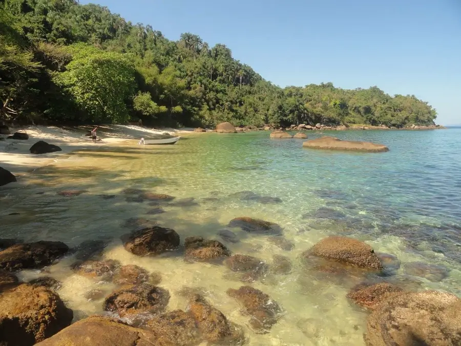 Mar cristalino na Ilha das Couves, em Ubatuba, mostrando o fundo do mar com pedras, a areia clara e a vegetação de Mata Atlântica ao redor da praia.