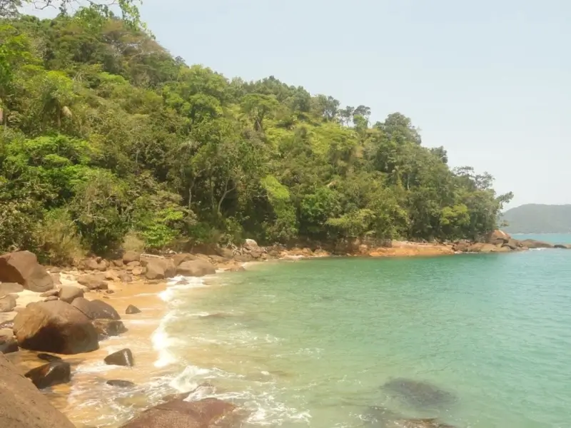 Praia do Cedro do Sul em Ubatuba: paraíso isolado com areia clara, mar cristalino e Mata Atlântica exuberante.