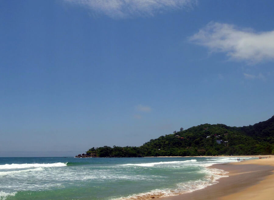 Vista ampla da Praia do Felix em Ubatuba, com ondas suaves quebrando na faixa de areia e o morro coberto de Mata Atlântica ao fundo, sob um céu azul.