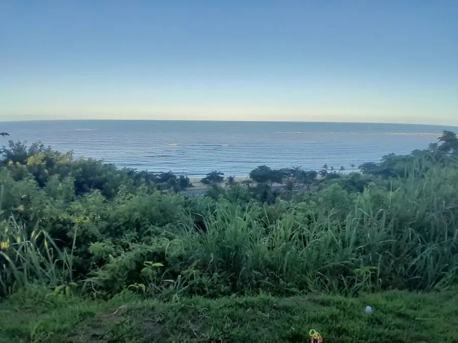 Vista panorâmica da costa de Porto Seguro, Bahia, do alto de uma vegetação densa, mostrando a linha do horizonte onde o céu azul claro encontra o mar calmo em tons de azul esverdeado.