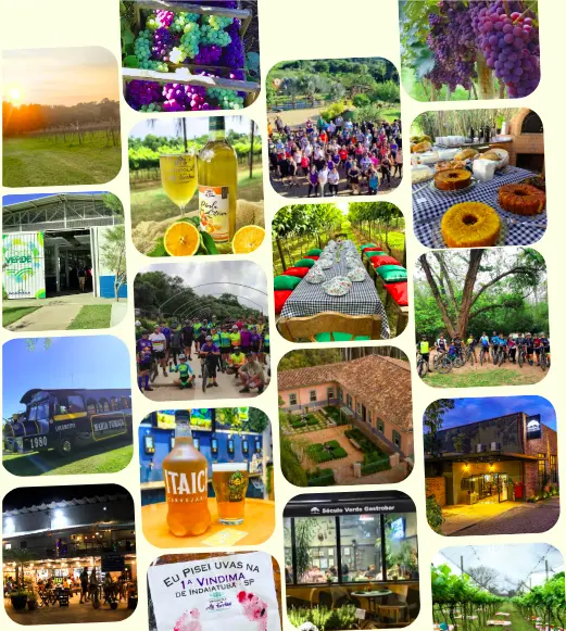 Colagem de imagens do Corredor Agro Turístico e Vitivinícola de Indaiatuba, com vinhedos, degustações, eventos, passeios de trenzinho e produtos artesanais.
