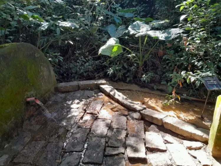 Nascente do Lago do Cupini localizada dentro do Museu da Água em Indaiatuba, com a Mata Ciliar ao redor.