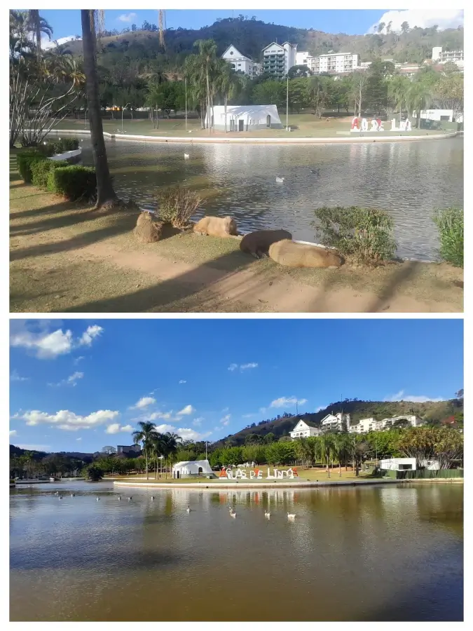 Duas fotos que mostram a Praça Adhemar de Barros em Águas de Lindóia. Na foto superior, capivaras descansam perto do lago. Na inferior, patos nadam no lago em um dia de céu azul.