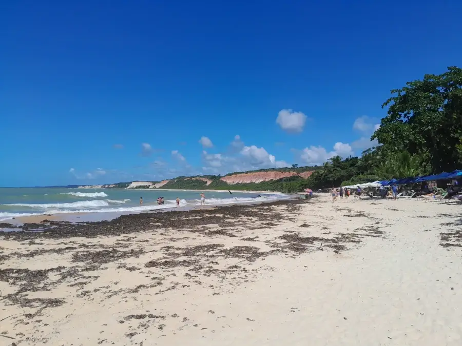 Vista da Praia de Pitinga em Arraial d'Ajuda, em um dia de sol, com as características falésias avermelhadas ao fundo, o mar azul e a faixa de areia branca.