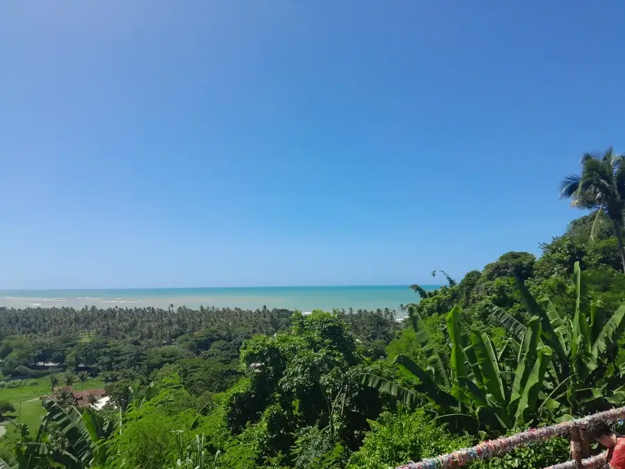 Vista panorâmica do litoral de Arraial d'Ajuda a partir de um mirante, com a densa Mata Atlântica em primeiro plano e uma extensa faixa de coqueiros que leva até o mar azul-turquesa.