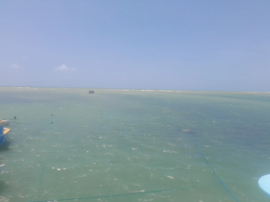 Vista panorâmica das Piscinas Naturais do Seixas em João Pessoa, com águas calmas e esverdeadas durante a maré baixa, ideal para mergulho.