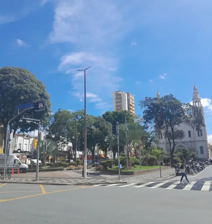 Praça Senador José Bento arborizada em dia de sol, com a Catedral Metropolitana de Pouso Alegre ao fundo.