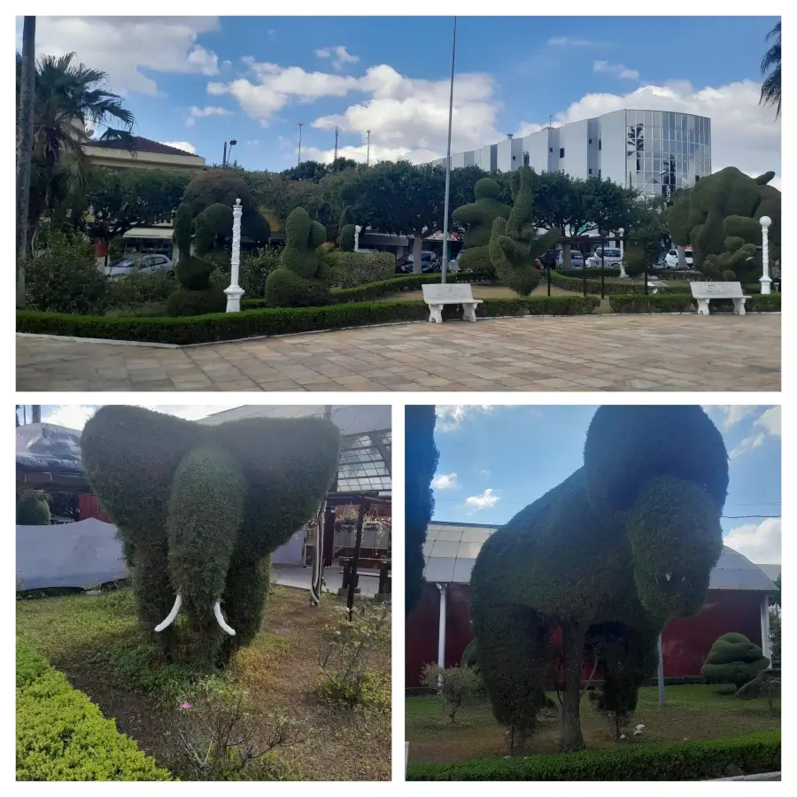 Colagem com três fotos da Praça Prefeito Mário Zucato em Monte Sião, mostrando bancos, árvores ornamentais e ciprestes esculpidos em formatos de elefante e dinossauro.